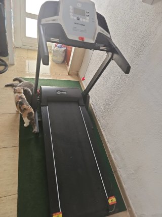 Cinta de correr H HOME