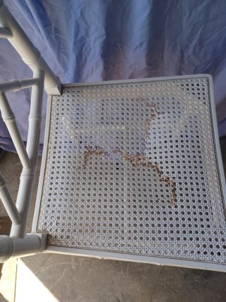 Sedia da pranzo in stile bambù