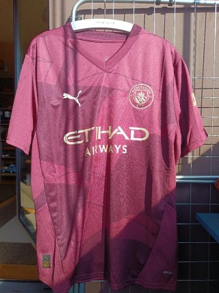 Camiseta Puma Manchester City Morada