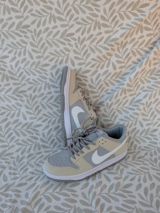 Nikes Beige Gris