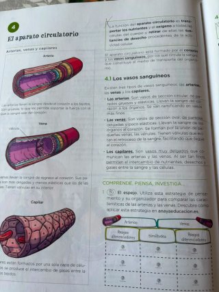 Biología y geología, 3 ESO, Operación mundo