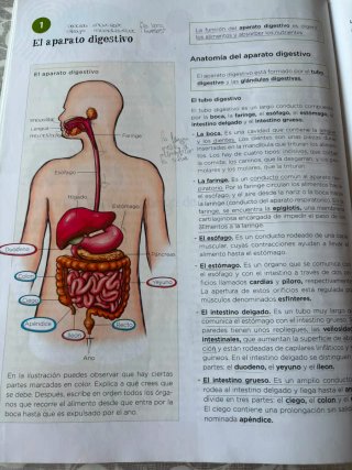 Biología y geología, 3 ESO, Operación mundo