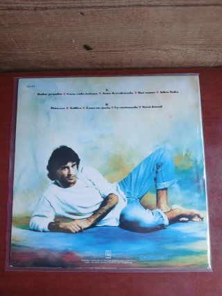 Vinilo Sergio Dalma Sintiéndonos la piel