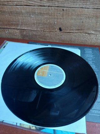 Vinilo Sergio Dalma Sintiéndonos la piel