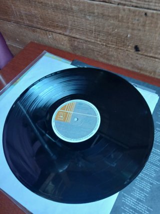 Vinilo Sergio Dalma Sintiéndonos la piel