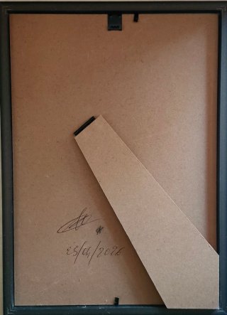 Quadri stampe 1/2 Tornese Trinacria 1860