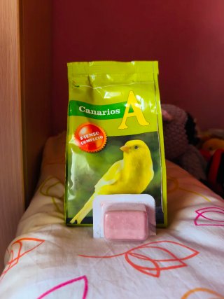 Jaula seminueva - Pájaros pequeños