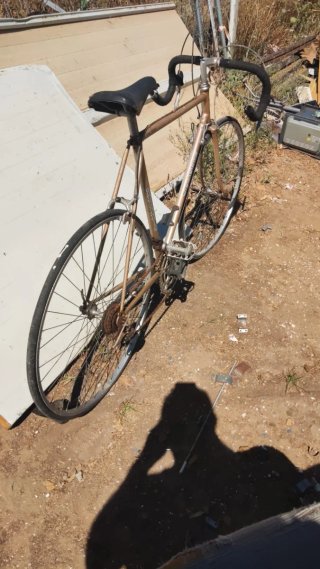 Bicicleta de carrera vintage Zeferis