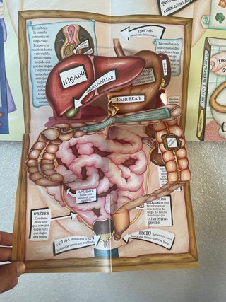 Libro pop-up Abracadabra que tu cuerpo se abra!