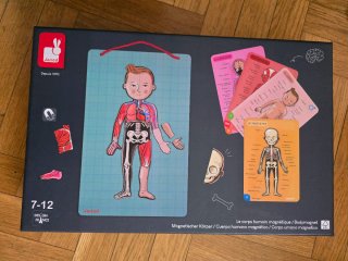 Juego educativo El Cuerpo Humano