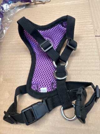 Arnés y cinturón seguridad perro ajustable