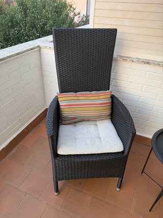 Sillón de jardín mimbre negro