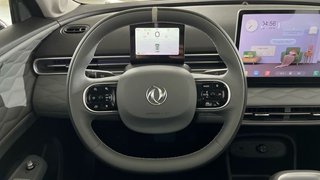 Dongfeng Box Plus 42Kw MY24