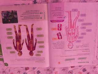 Ciencias de la naturaleza, 3 Primaria