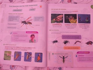 Ciencias de la naturaleza, 3 Primaria