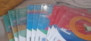 LIBROS 4° PRIMARIA.