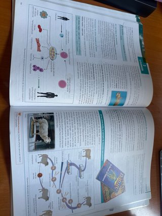 Cultura científica, Bachillerato 1