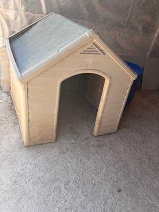 Caseta perro grande beige