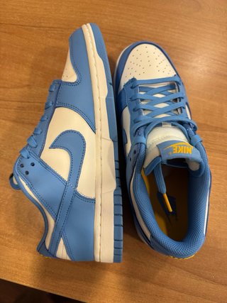 Nike Dunk Low Coast