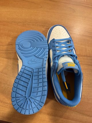 Nike Dunk Low Coast