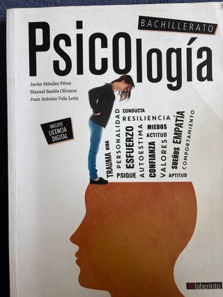Psicología, Bachillerato