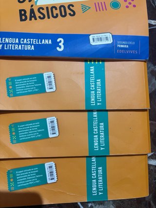 Lengua castellana y literatura 3 Saberes básico...
