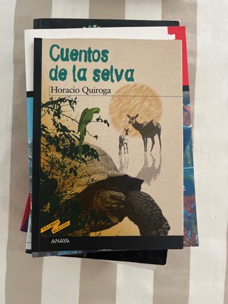 Libro