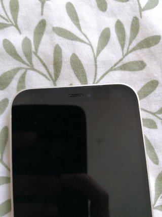 iPhone 12 mini