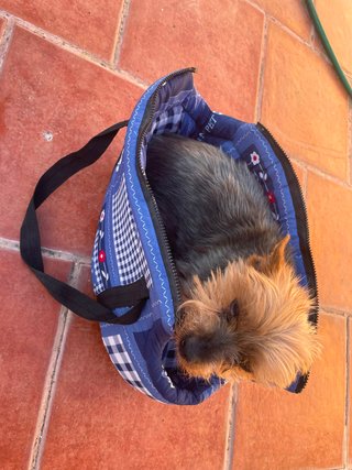 BOLSA VIAJE DE TELA PERRO-GATO HASTA 4 KG