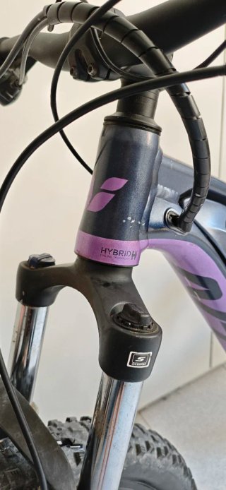 Bicicleta Elèctrica muntanya Liv Vall E+