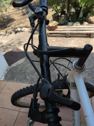 Bicicleta de Montaña