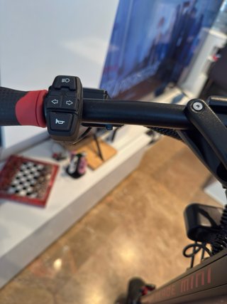 Patinete Teverun Blade Mini Pro