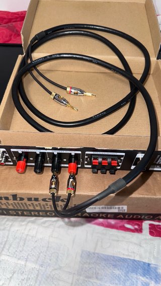 Amplificador Sunbuck AV-628BT Karaoke + Cables Ban
