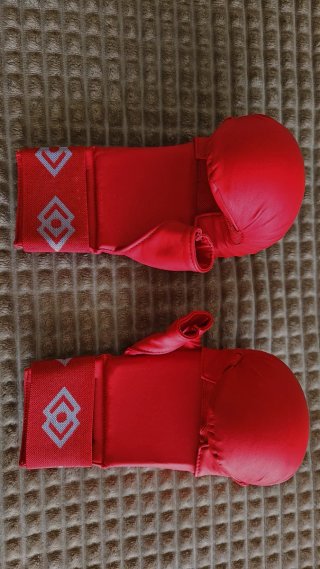 Luvas Karaté Daedo WKF Aprovadas
