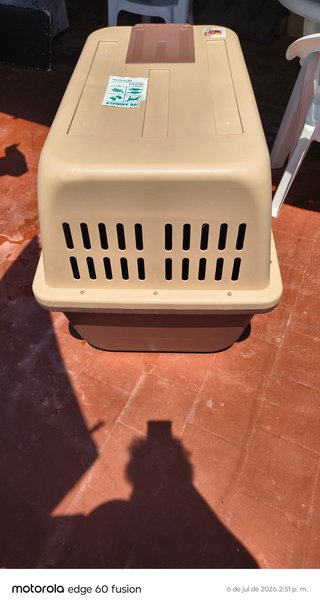 Transportín Grande Perro Un Solo Uso