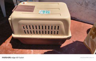 Transportín Grande Perro Un Solo Uso