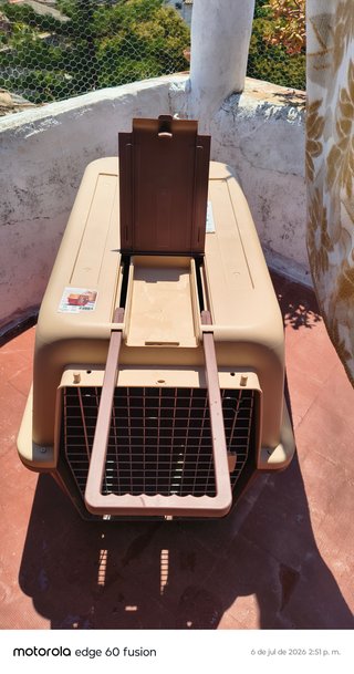 Transportín Grande Perro Un Solo Uso