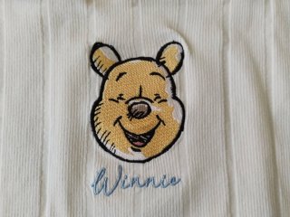 Top Winnie the Pooh