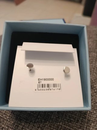 Pendientes Luxenter niña plata