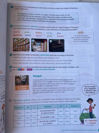 Lengua castellana y literatura 5 Primaria : Rev...