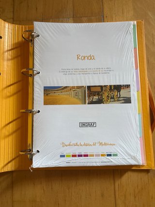 Carpeta anillas con folios y separadores