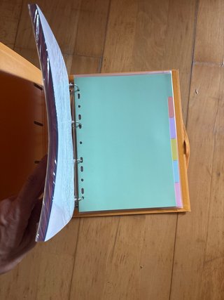 Carpeta anillas con folios y separadores