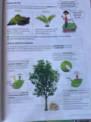 Ciencias de la naturaleza. 5 Primaria. Revuela....