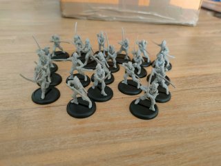 Miniaturas Legión of everblight