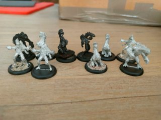 Miniaturas Legión of everblight