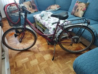 Bicicleta urbana