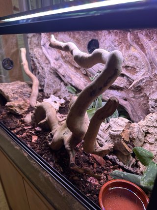 Acuario decorado y accesorios