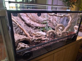 Acuario decorado y accesorios
