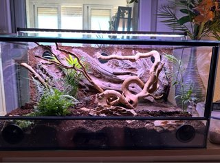 Acuario decorado y accesorios