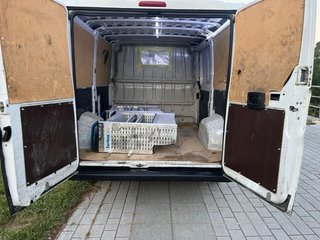 FIAT ducato 2017 l2h1